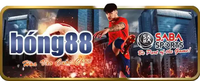 Giấy phép hoạt động cá cược quốc tế